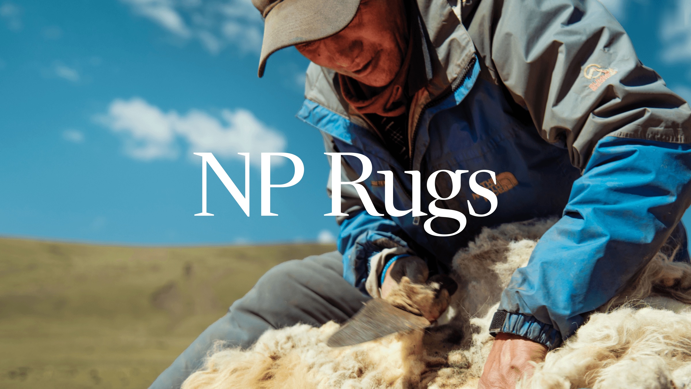 NP Rugs brand identity and campaign: shearing wool in Mustang, Nepal