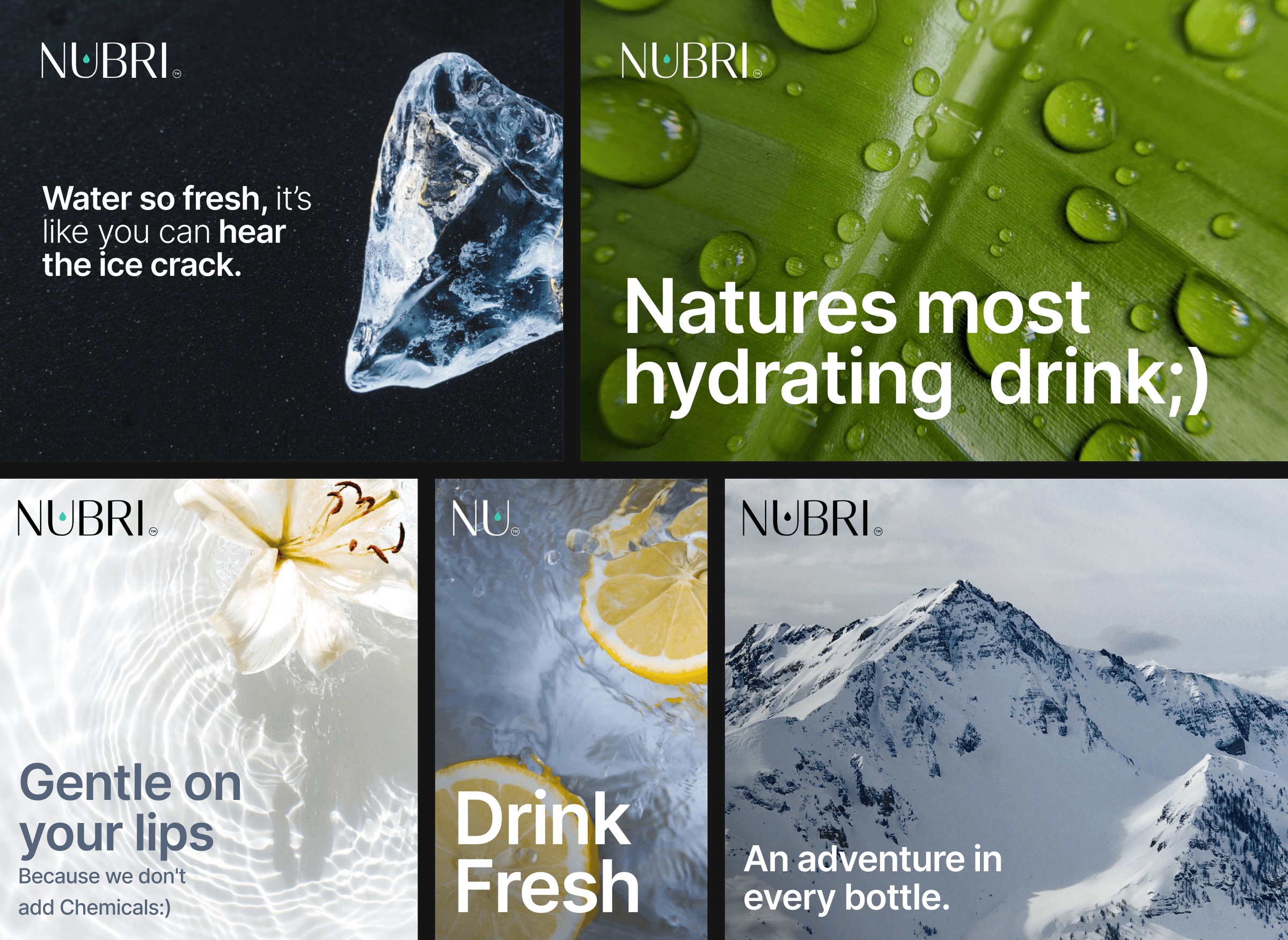 Nubri promotional posters